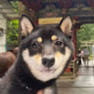 Meet your Posher, Via